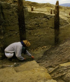 Archéologie neuchâteloise 48