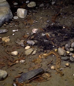 Archéologie neuchâteloise 49