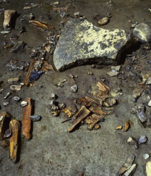 Archéologie neuchâteloise 51