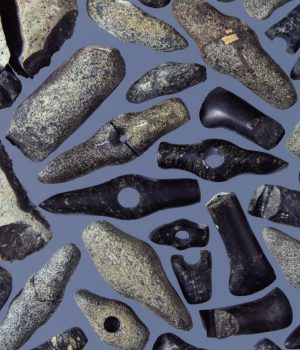 Archéologie neuchâteloise 52