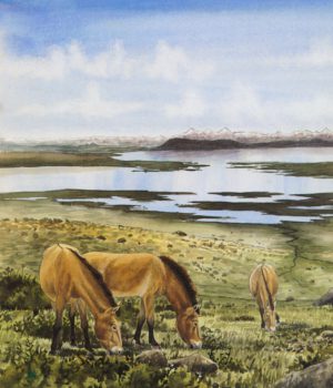 Archéologie neuchâteloise 19