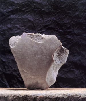 Archéologie neuchâteloise 24