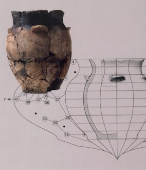 Archéologie neuchâteloise 27
