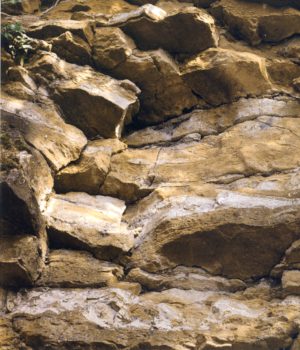 Archéologie neuchâteloise 28