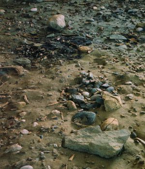 Archéologie neuchâteloise 33
