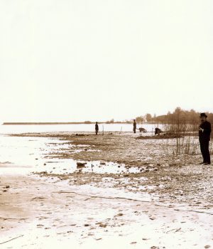 Archéologie neuchâteloise 39