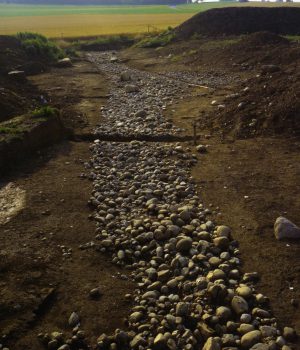 Archéologie neuchâteloise 46