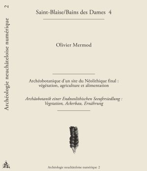 Archéologie neuchâteloise numérique 2