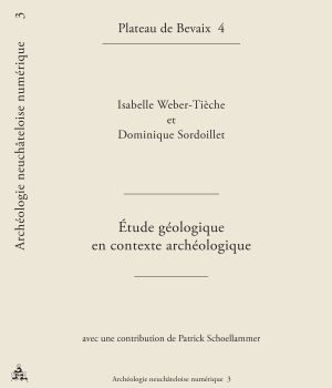 Archéologie neuchâteloise numérique 3