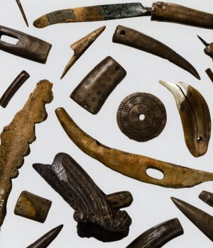 Archéologie neuchâteloise 54